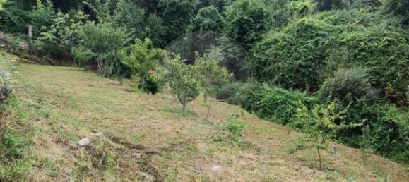 Grundstück in Ponte da Barca, Portugal 7020m², Nr. 58575 9