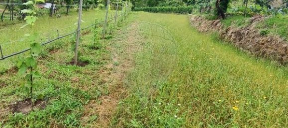 Grundstück in Ponte da Barca, Portugal 7020m², Nr. 58575 10