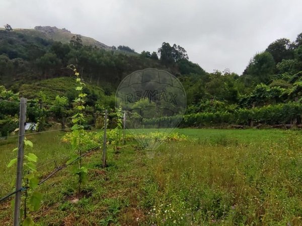 Grundstück in Ponte da Barca, Portugal 7020m², Nr. 58575