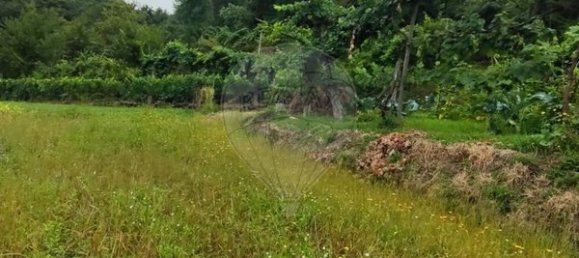 Grundstück in Ponte da Barca, Portugal 7020m², Nr. 58575 4