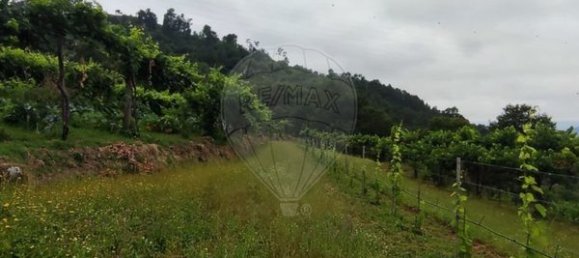 Grundstück in Ponte da Barca, Portugal 7020m², Nr. 58575 8