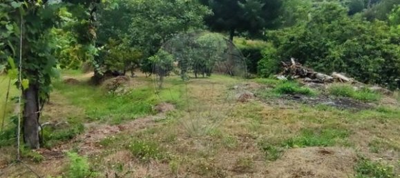 Grundstück in Ponte da Barca, Portugal 7020m², Nr. 58575 3