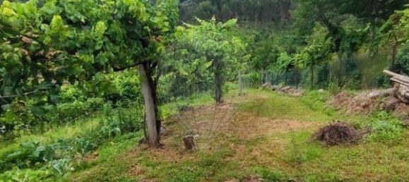 Grundstück in Ponte da Barca, Portugal 7020m², Nr. 58575 5