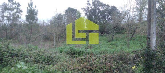 8482m² Land in Coimbra, Portugal No. 70954 9