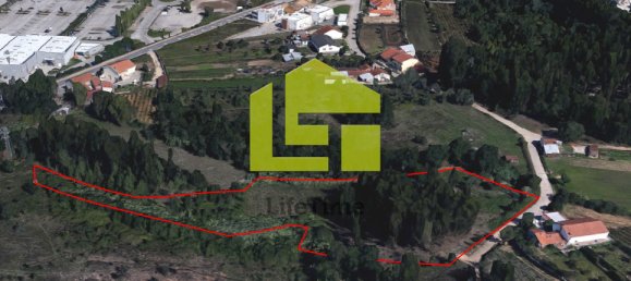 8482m² Land in Coimbra, Portugal No. 70954 2