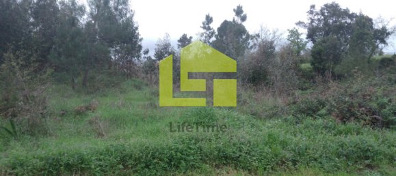8482m² Land in Coimbra, Portugal No. 70954 8