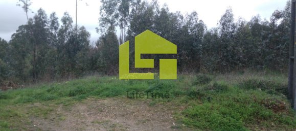 8482m² Land in Coimbra, Portugal No. 70954 7