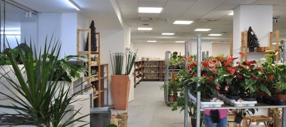 Edifício em Duisburg, Germany 1325 m² N.º 49682 18