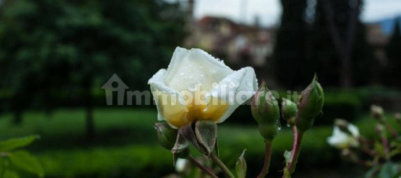 5 rooms Hotel in Florence, Italy No. 287373 7