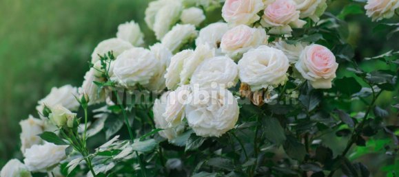 5 rooms Hotel in Florence, Italy No. 287373 8