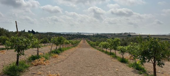 Grundstück in Noto, Italy, Nr. 318474 11