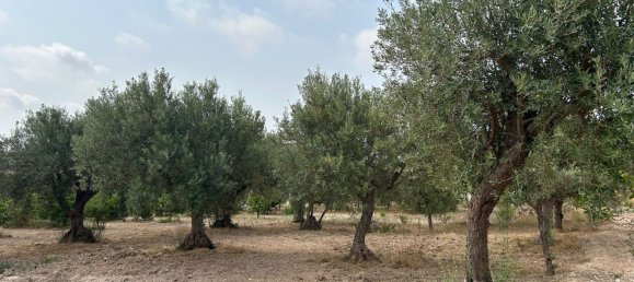 Grundstück in Noto, Italy, Nr. 318474 3