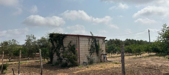 Grundstück in Noto, Italy, Nr. 318474 8