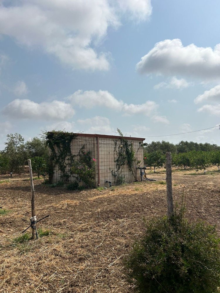 Grundstück in Noto, Italy, Nr. 318474