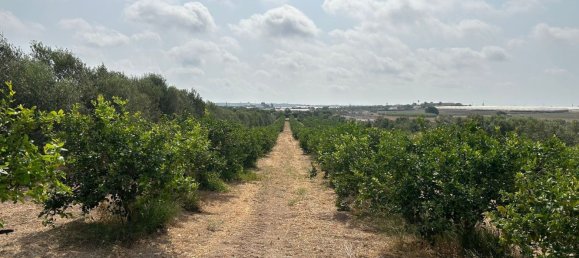 Grundstück in Noto, Italy, Nr. 318474 10