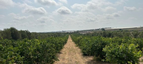 Grundstück in Noto, Italy, Nr. 318474 6