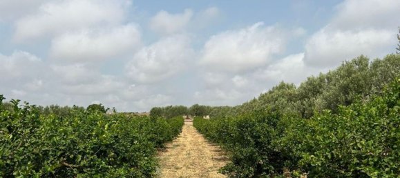 Grundstück in Noto, Italy, Nr. 318474 9