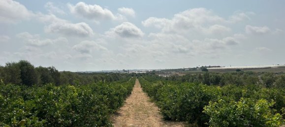 Grundstück in Noto, Italy, Nr. 318474 7