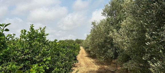 Grundstück in Noto, Italy, Nr. 318474 13