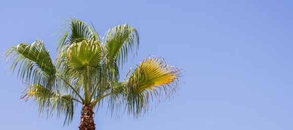 Villa de 3 dormitorios en Alicante, Spain No. 153619 35