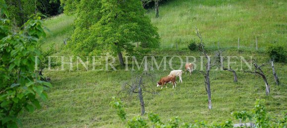 9 rooms Villa in Seiersberg-Pirka, Austria No. 174687 31
