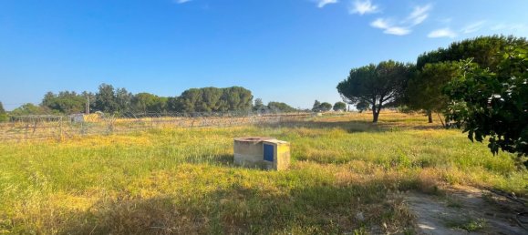 2 Schlafzimmer Haus in Bonares, Spain, Nr. 153107 20
