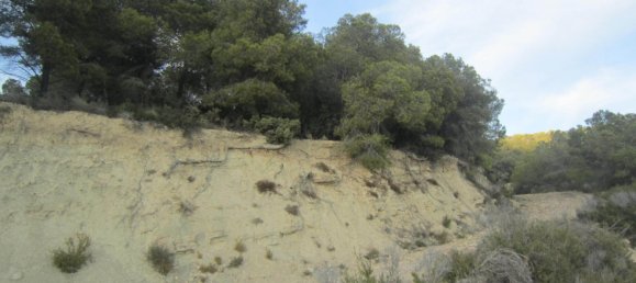  قطعة أرض في Benissa, Spain 33500متر مربع رقم 1523 4