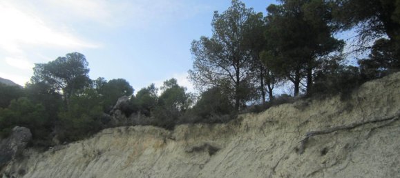  قطعة أرض في Benissa, Spain 33500متر مربع رقم 1523 3