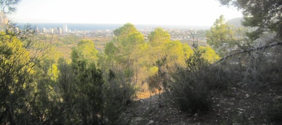  قطعة أرض في Benissa, Spain 33500متر مربع رقم 1523 6