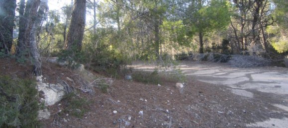  قطعة أرض في Benissa, Spain 33500متر مربع رقم 1523 7