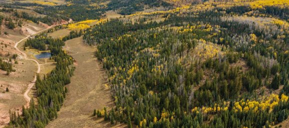 Hotel in Gypsum, USA 22.79m², Nr. 32 20