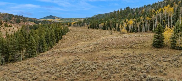 Hotel in Gypsum, USA 22.79m², Nr. 32 6