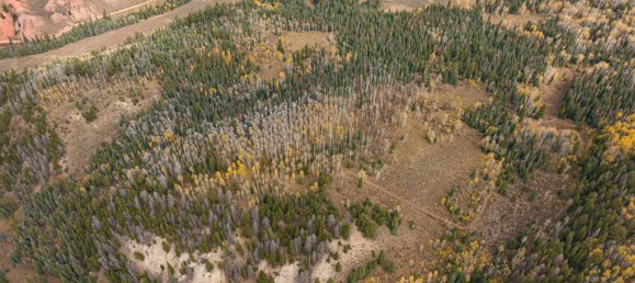 Hotel in Gypsum, USA 22.79m², Nr. 32 11