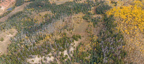 Hotel in Gypsum, USA 22.79m², Nr. 32 10