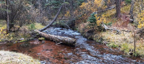 Hotel in Gypsum, USA 22.79m², Nr. 32 8