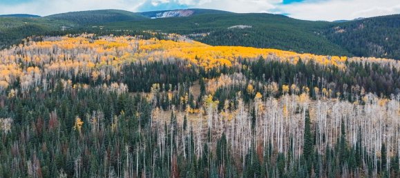 Hotel in Gypsum, USA 22.79m², Nr. 32 22