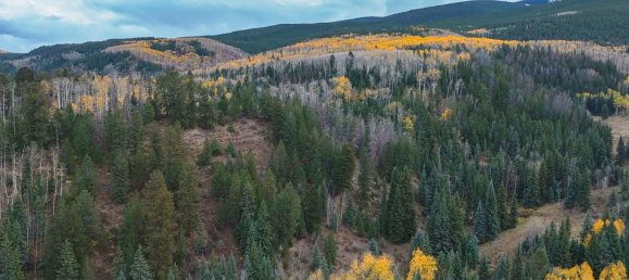 Hotel in Gypsum, USA 22.79m², Nr. 32 23