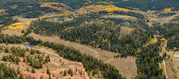 Hotel in Gypsum, USA 22.79m², Nr. 32 19