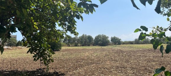 4-Zimmer Haus in Milazzo, Italy, Nr. 120968 17