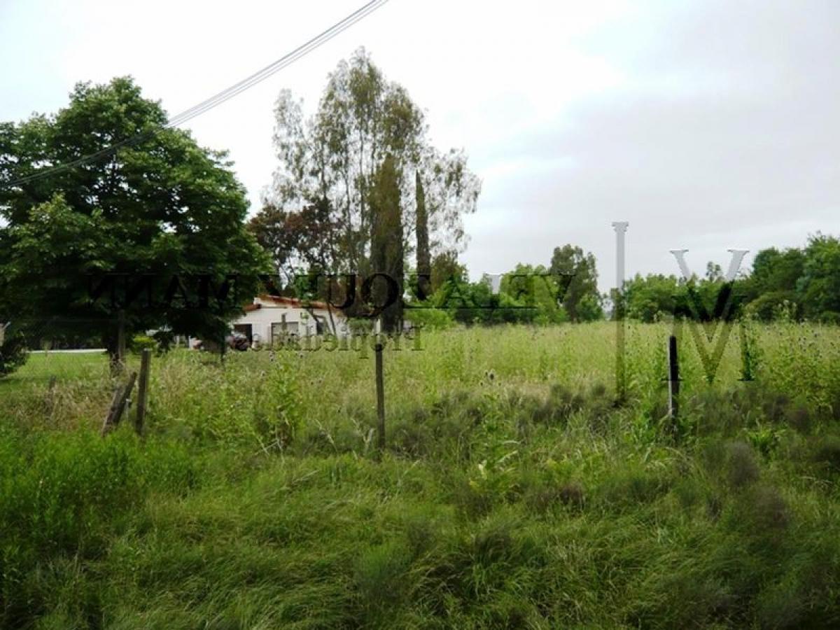  Land in Ezeiza, Argentina No. 113868