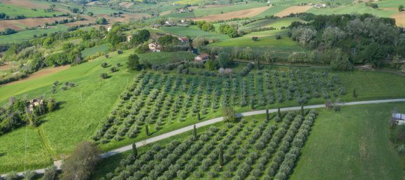 5 bedrooms House in Belmonte Piceno, Italy No. 85503 3