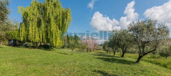 5 bedrooms House in Belmonte Piceno, Italy No. 85503 24