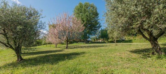 5 bedrooms House in Belmonte Piceno, Italy No. 85503 36