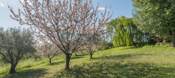 5 bedrooms House in Belmonte Piceno, Italy No. 85503 37