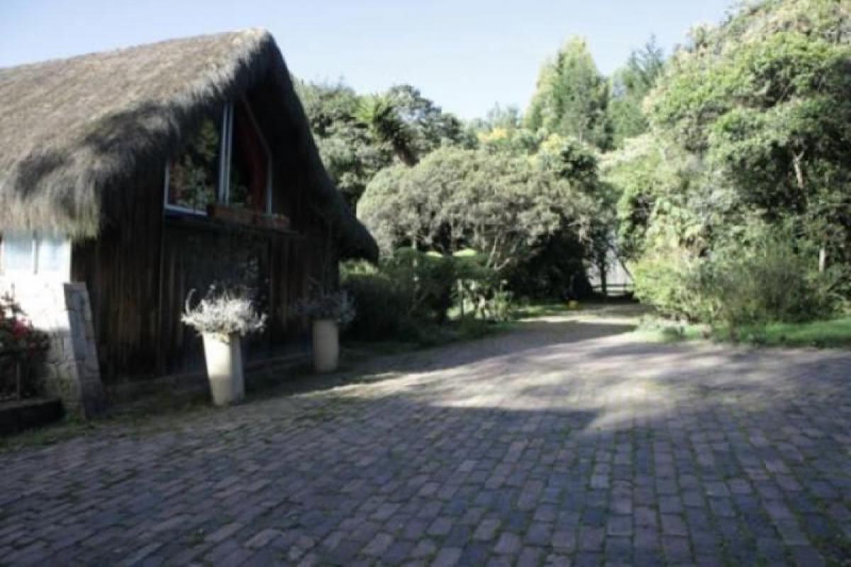 Studio in Bogota, Colombia No. 14323