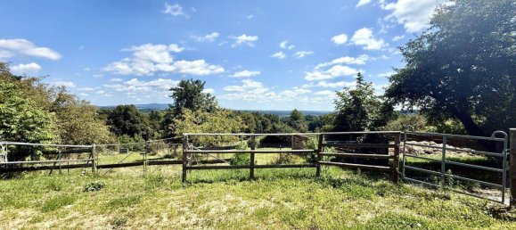 Отель, гостиница с 8 комнатами в Пинкафельд, Австрия № 210227 2