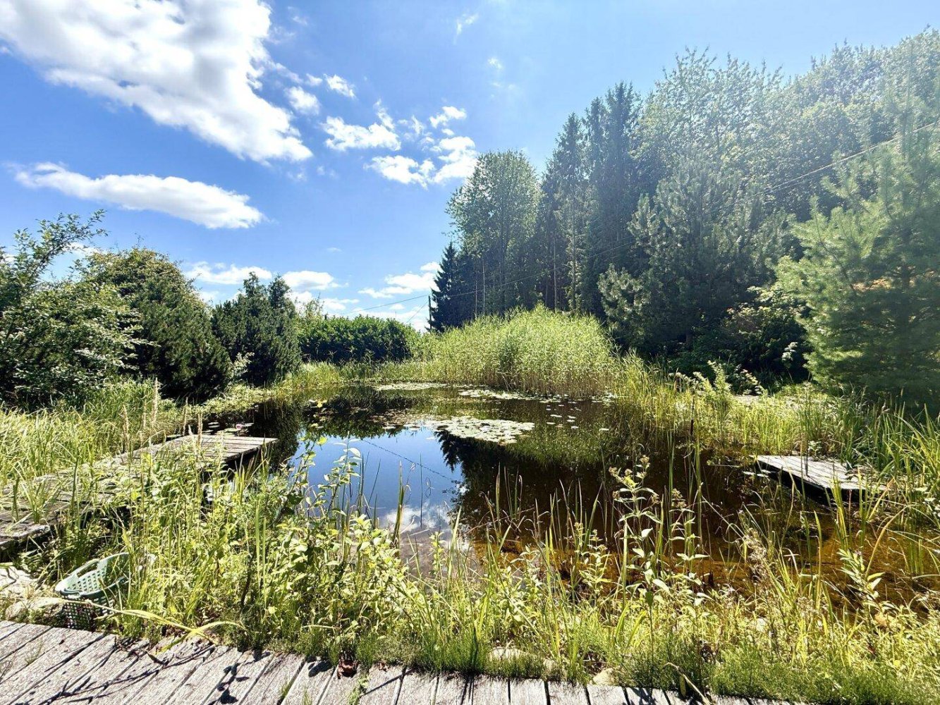 Отель, гостиница с 8 комнатами в Пинкафельд, Австрия № 210227