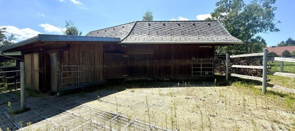 Отель, гостиница с 8 комнатами в Пинкафельд, Австрия № 210227 5