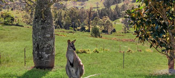 3 bedrooms Farm in Smiths Creek, Australia No. 491 5