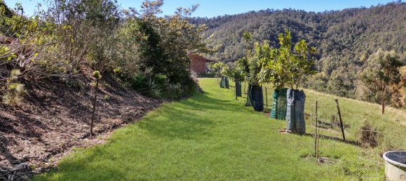 3 bedrooms Farm in Smiths Creek, Australia No. 491 19